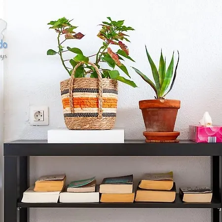 Apartamento The Blue Cris-tol Vv With Sea View Puerto del Carmen (Lanzarote)
